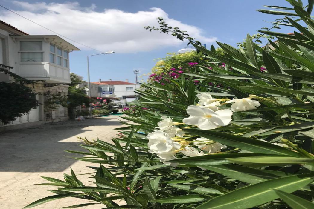 Beyaz Ev Hotel Alaçatı Exterior photo
